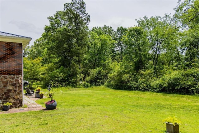 view of grassy yard