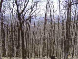 1843 Echo Rdg, Jasper GA, 30143 land for sale