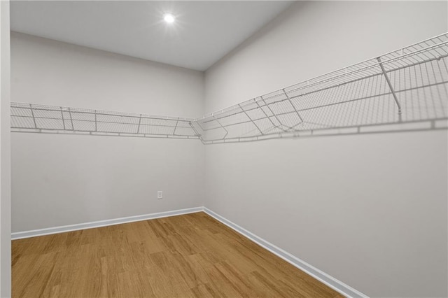 walk in closet featuring wood finished floors