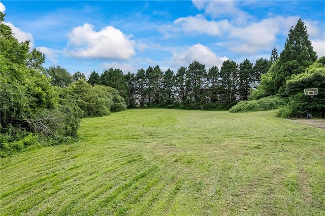 38 Olde Wick Trl, Hoschton, GA 30548 - view of green lawn