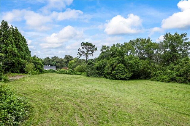 38 Olde Wick Trl, Hoschton, GA 30548 - view of grassy yard featuring a forest view
