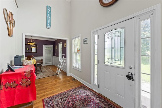 38 Olde Wick Trl, Hoschton, GA 30548 - foyer featuring plenty of natural light, wood finished floors, a high ceiling, and wainscoting