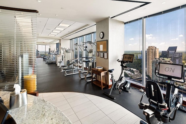 gym with expansive windows