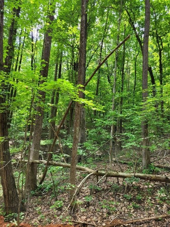 000 Shadow Mountain Ln, Cleveland, GA 30528