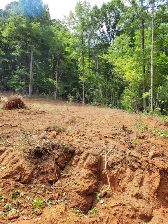 000 Shadow Mountain Ln, Cleveland, GA 30528