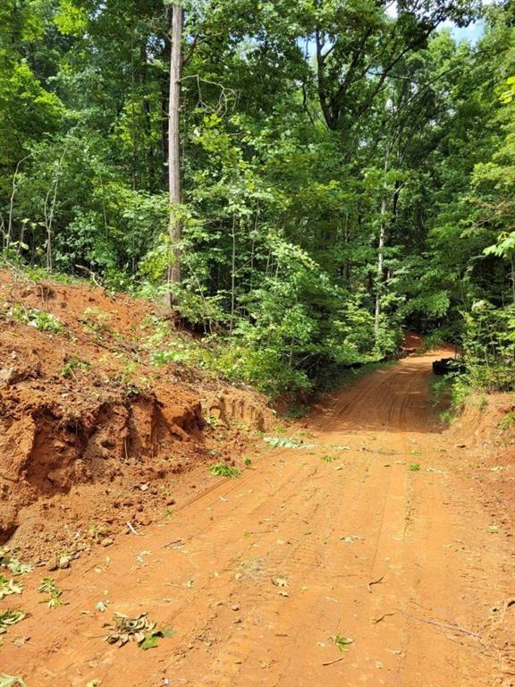 000 Shadow Mountain Ln, Cleveland, GA 30528