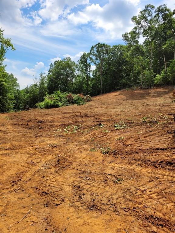 000 Shadow Mountain Ln, Cleveland, GA 30528