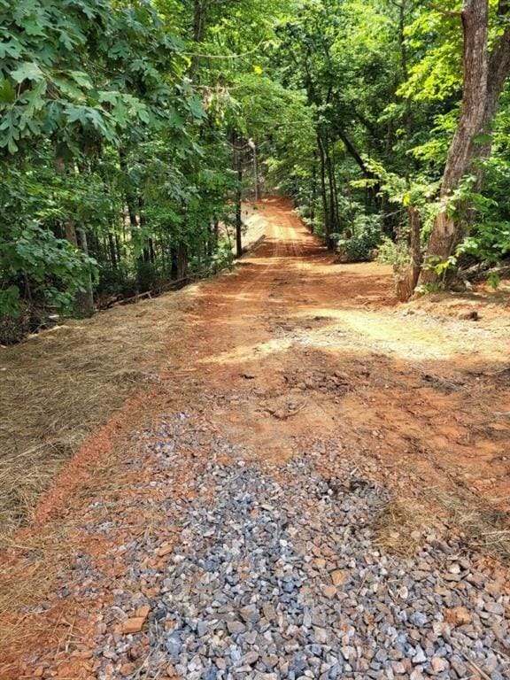 000 Shadow Mountain Ln, Cleveland, GA 30528