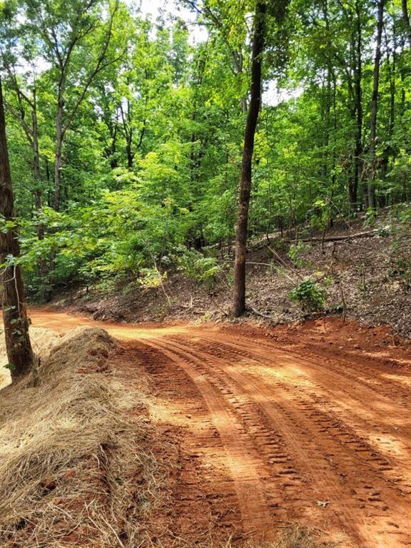 000 Shadow Mountain Ln, Cleveland, GA 30528