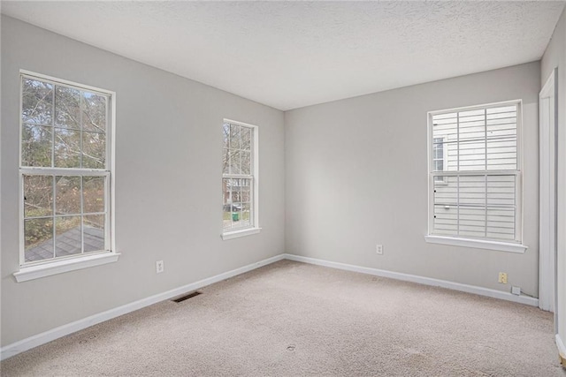 carpeted empty room with a textured ceiling and a healthy amount of sunlight