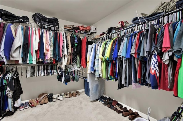 walk in closet with carpet