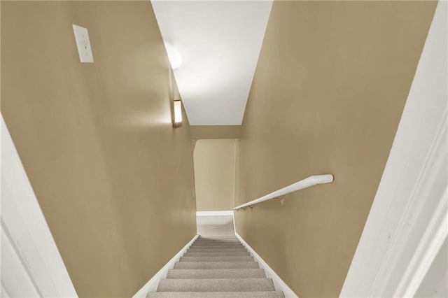 stairway with carpet