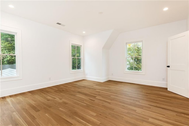 additional living space featuring hardwood / wood-style floors and a wealth of natural light