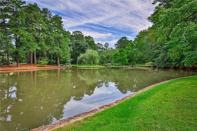 view of water feature