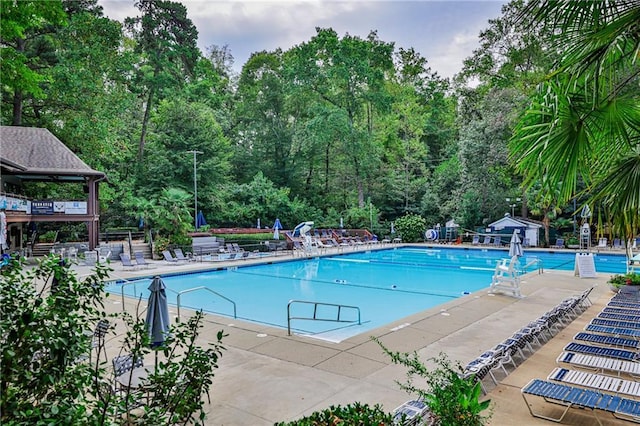 view of swimming pool with a patio