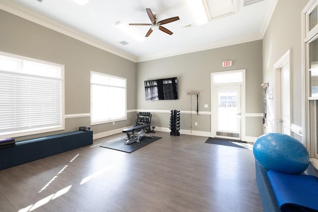 workout room with crown molding, ceiling fan, and dark hardwood / wood-style flooring