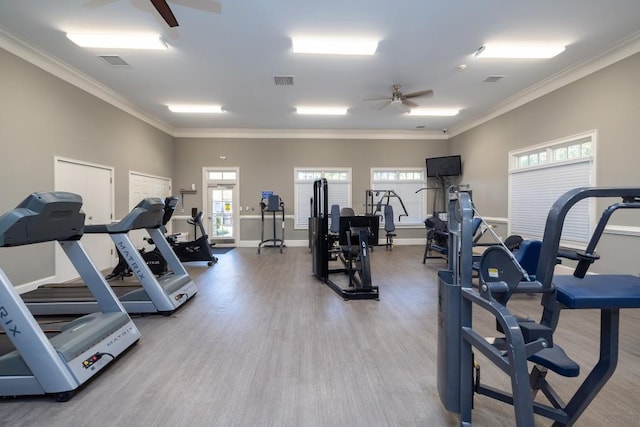 gym featuring wood-type flooring, crown molding, and ceiling fan