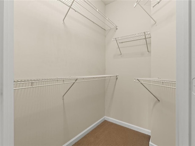 spacious closet with carpet flooring