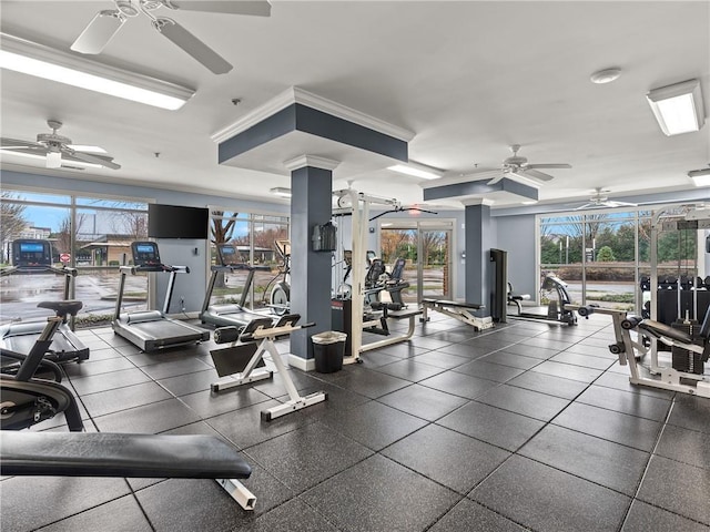 gym featuring a healthy amount of sunlight, crown molding, and a ceiling fan