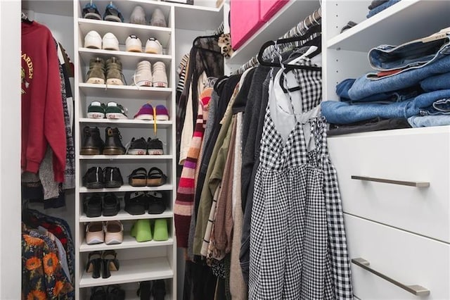 303 Gettysburg Pl, Atlanta, GA 30350 - view of walk in closet