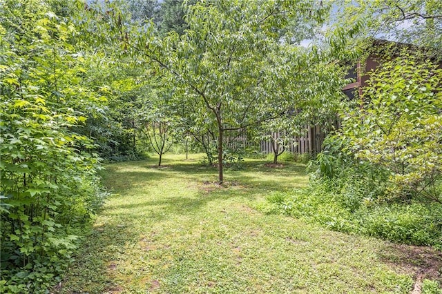 1908 E Roxboro Rd NE, Atlanta, GA 30324 - view of grassy yard