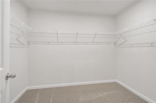 702 Smokey Quartz Way, Kennesaw, GA 30144 - spacious closet featuring carpet flooring