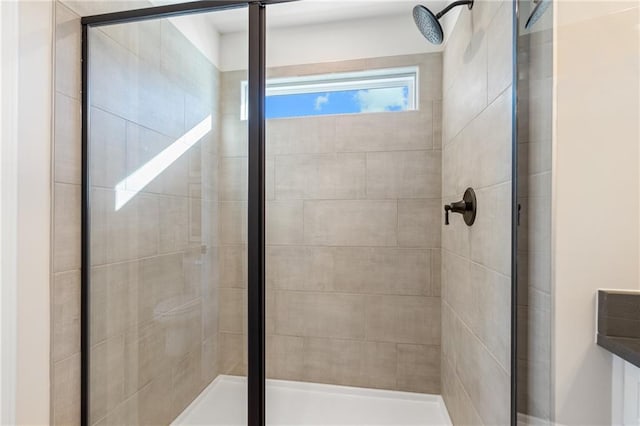 702 Smokey Quartz Way, Kennesaw, GA 30144 - bathroom with a stall shower