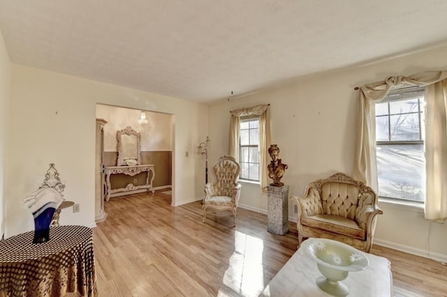 living area with baseboards, light wood finished floors, and a healthy amount of sunlight