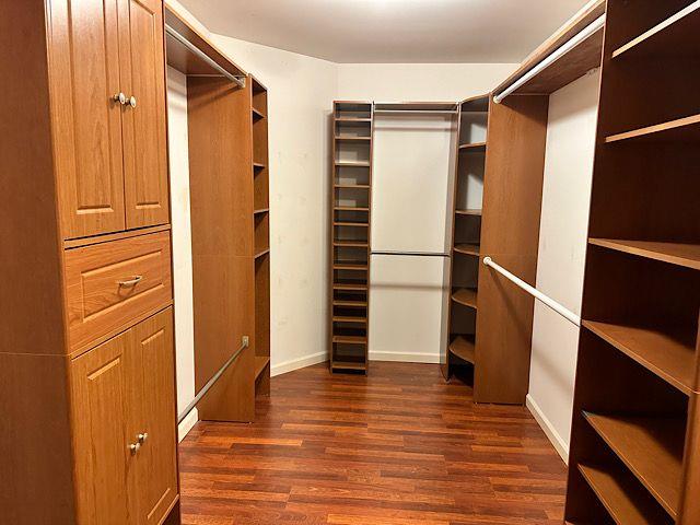 walk in closet with dark hardwood / wood-style floors