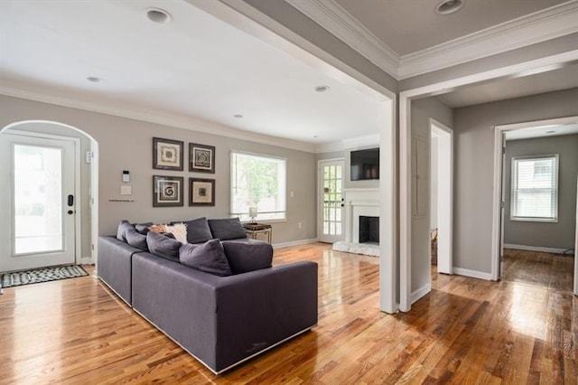 living room featuring crown molding and hardwood / wood-style floors