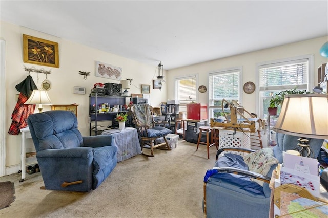 living room with carpet