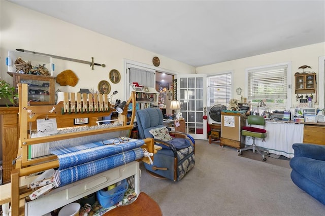 living room with carpet floors