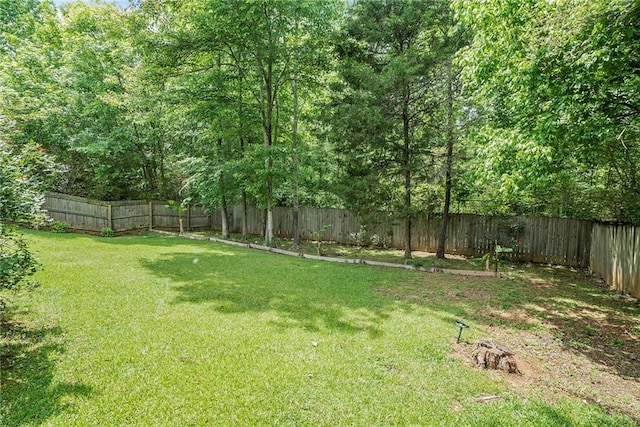 view of yard