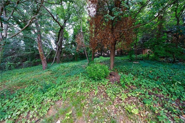 view of yard featuring fence and a wooded view