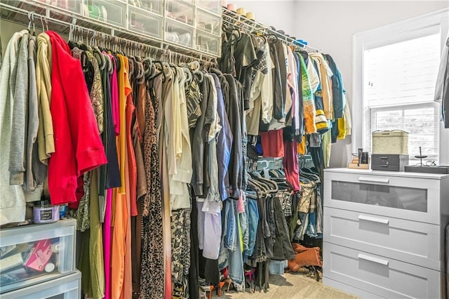 view of walk in closet