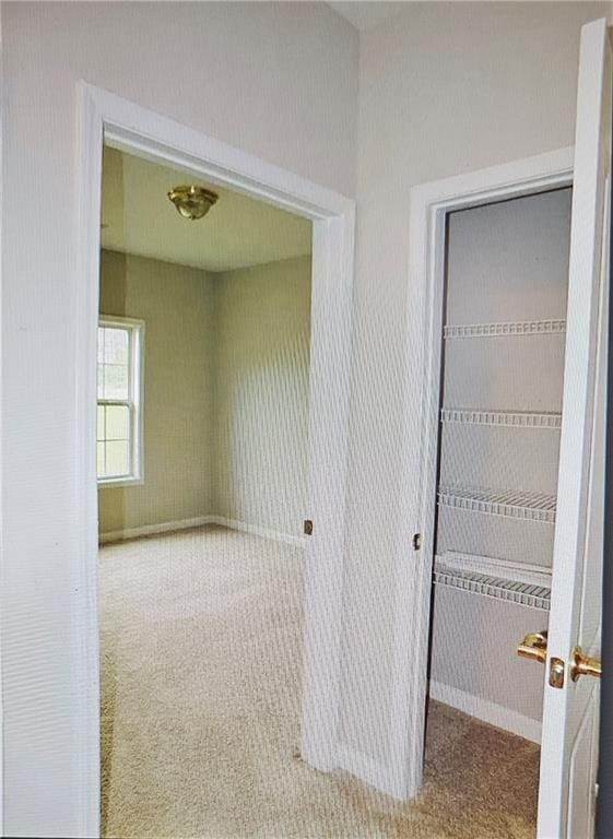 corridor featuring carpet floors