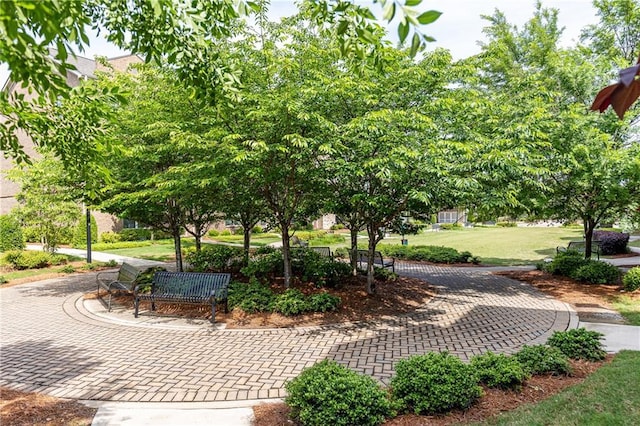 3133 Quinn Pl, Atlanta, GA 30341 - view of grassy yard