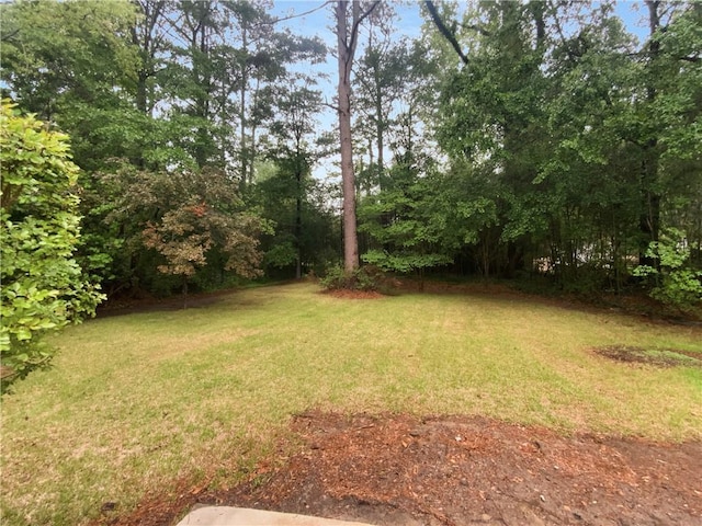 view of green lawn