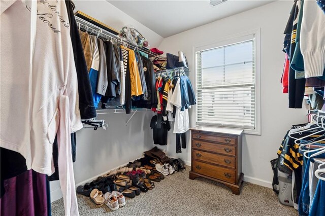 walk in closet featuring carpet flooring