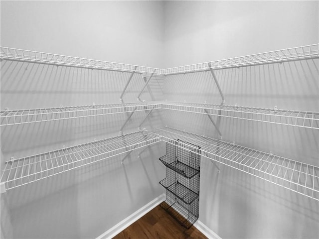 spacious closet featuring dark wood-style floors