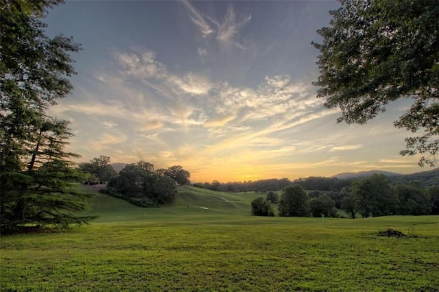 502 Cottage Crest Dr, Clarkesville, GA 30523 - view of community with a yard