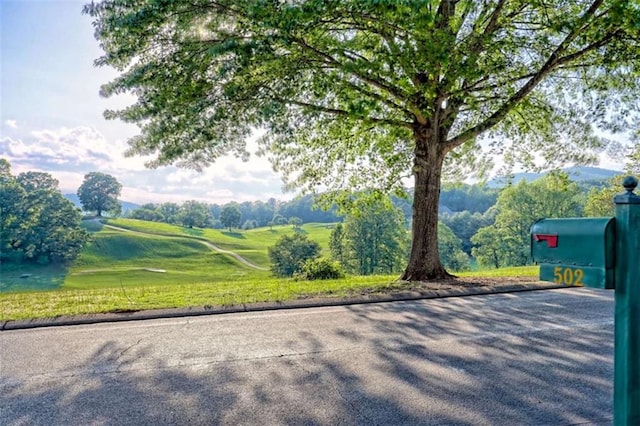 502 Cottage Crest Dr, Clarkesville, GA 30523 - view of home's community
