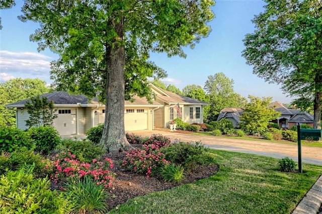 502 Cottage Crest Dr, Clarkesville, GA 30523 - ranch-style house featuring driveway, an attached garage, and a front lawn