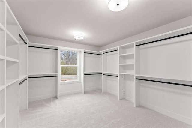 spacious closet with light carpet