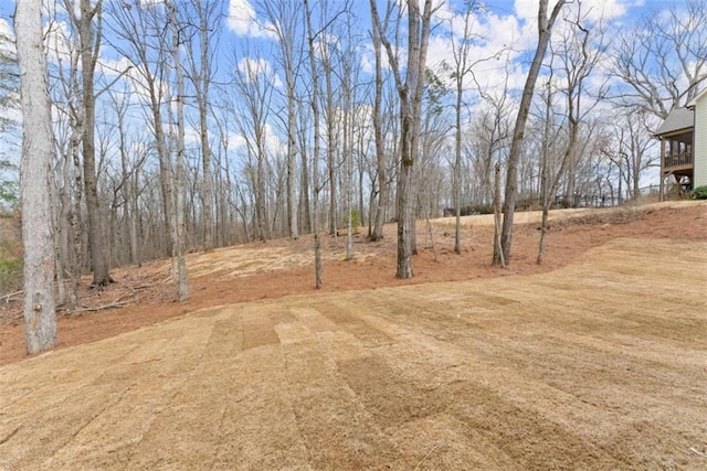 view of yard with dirt driveway