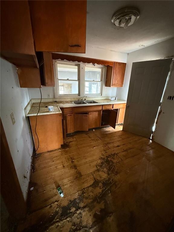 kitchen with dark hardwood / wood-style floors and sink