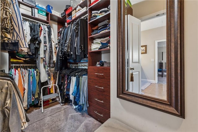 walk in closet with carpet flooring