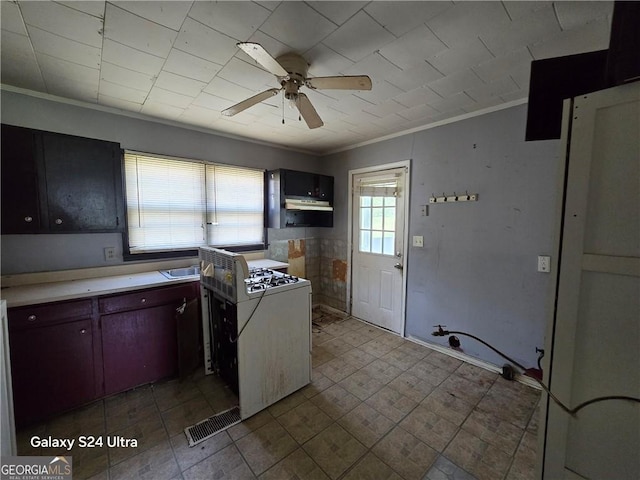 1243 Hill St NW, Conyers, GA 30012 - kitchen with a ceiling fan, ornamental molding, and light countertops