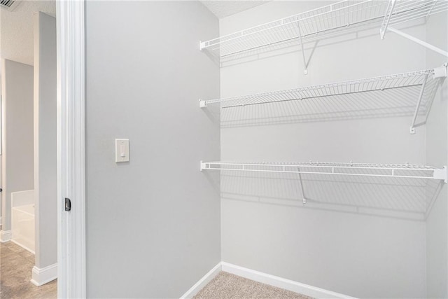 walk in closet featuring carpet