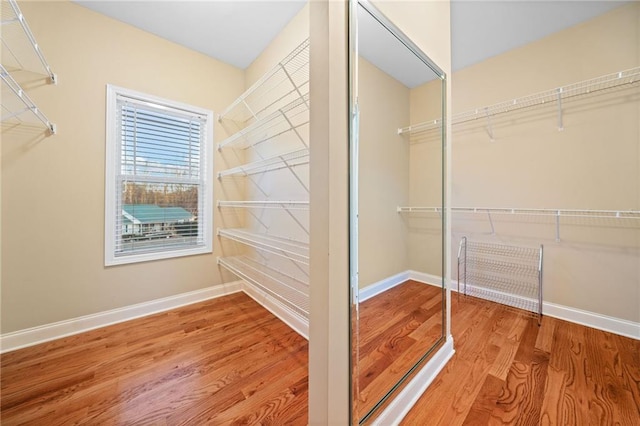 walk in closet with hardwood / wood-style flooring